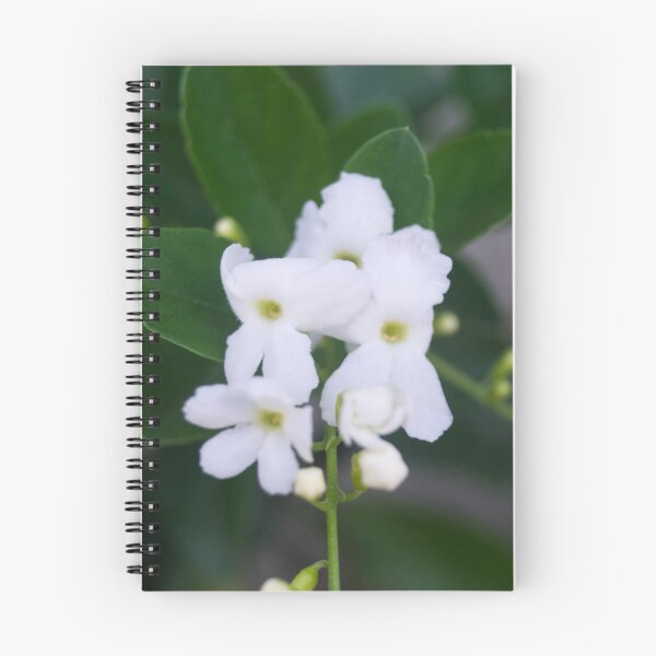 Item preview, White Pigeon Berry designed and sold by ROSE ANN BANILAR.