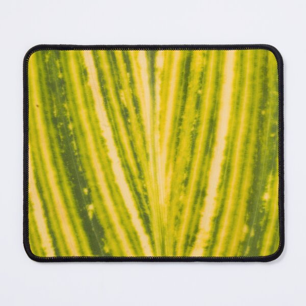 Item preview, Variegated Canna Lily  designed and sold by ROSE ANN BANILAR.