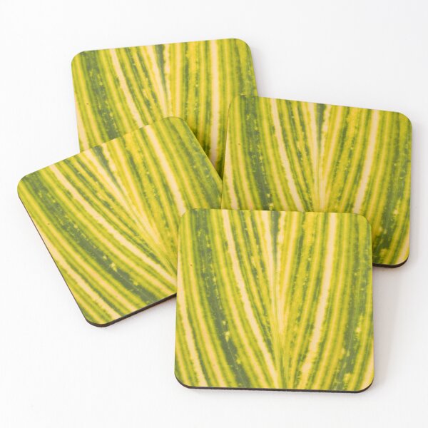 Item preview, Variegated Canna Lily designed and sold by ROSE ANN BANILAR.