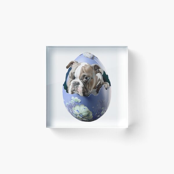 Item preview, Egg Pug Dog Dog In The Egg Sticker designed and sold by Jayne-eSiovbt.