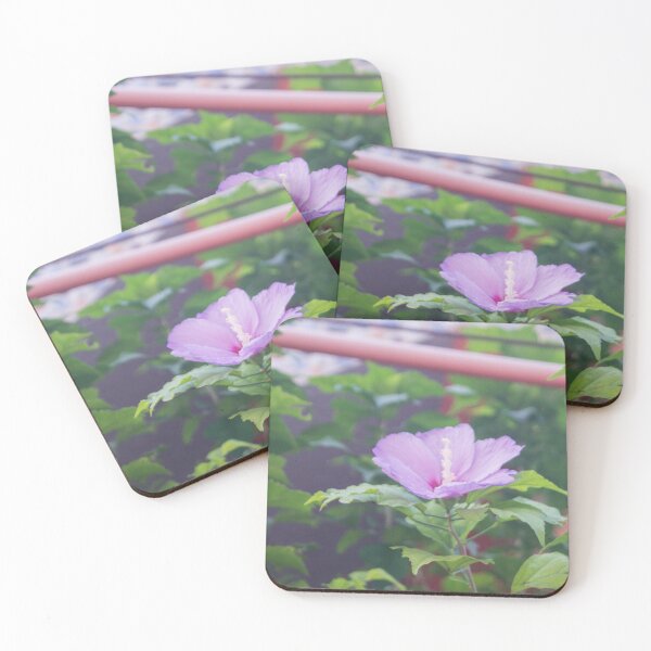 Item preview, Rose of Sharon designed and sold by ROSE ANN BANILAR.