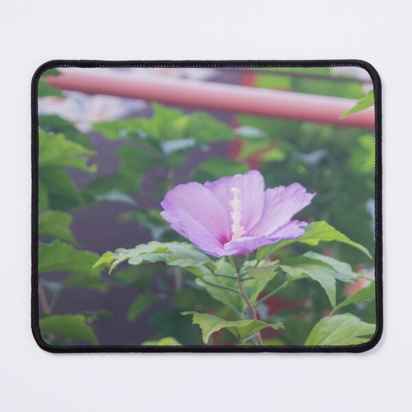 Item preview, Rose of Sharon designed and sold by ROSE ANN BANILAR.