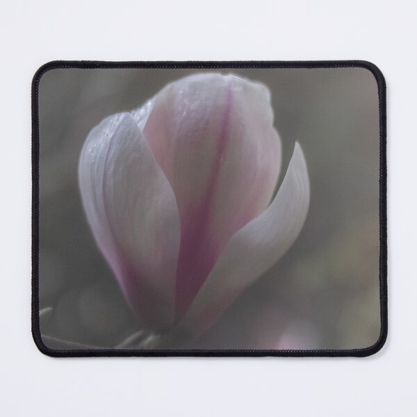 Item preview, Magnolia in the Mist designed and sold by Twisted Light Images.