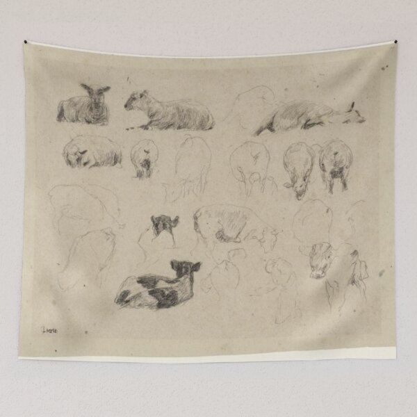 Item preview, Studies of Sheep designed and sold by SharonTheFirst.