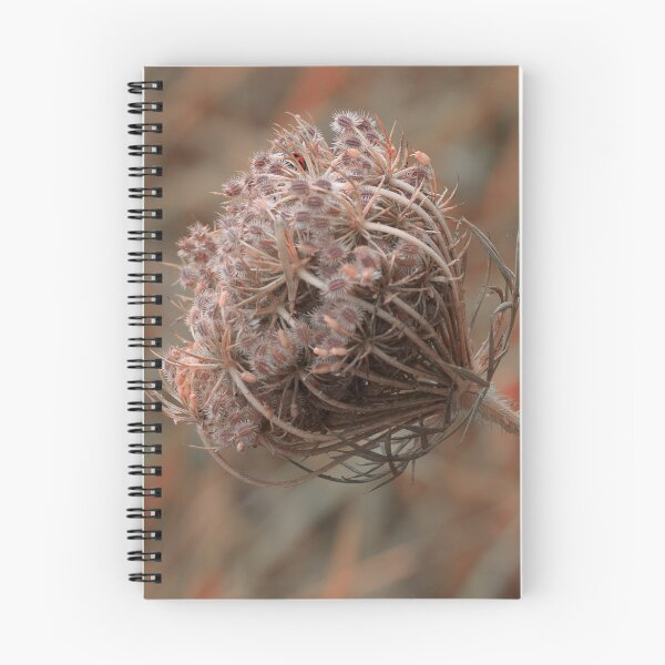 Item preview, Memories of a Wild Flower  designed and sold by Twisted Light Images.