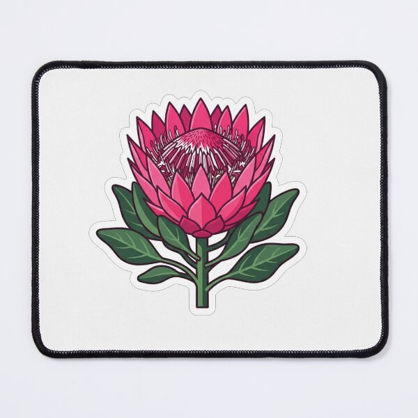 Item preview, Vibrant Pink Protea Flower Illustration designed and sold by Owcomm.