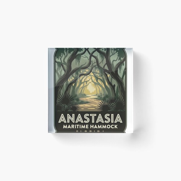 Item preview, Anastasia State Park Maritime Hammock Art Deco Sticker designed and sold by DetourDgn.