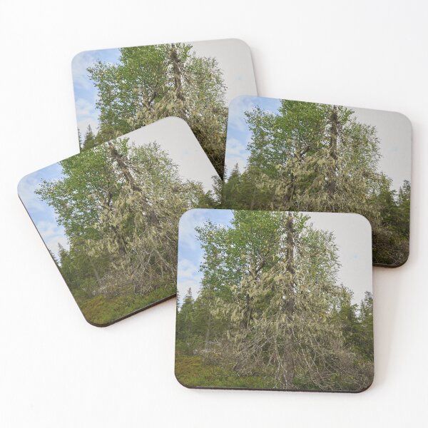 Item preview, Luppo. Valtavaara designed and sold by Jouko Lehto Photography.