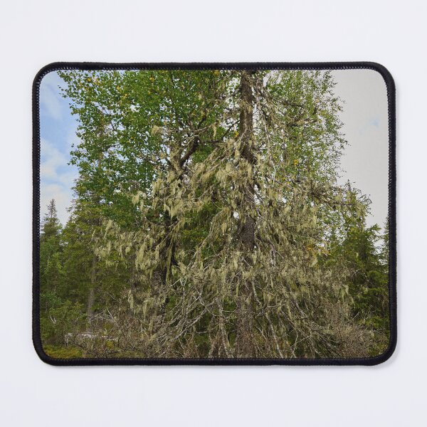 Item preview, Luppo. Valtavaara designed and sold by Jouko Lehto Photography.