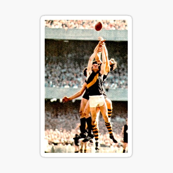 Item preview, Richmond afl vfl premiers 1969 2020 designed and sold by royce74.