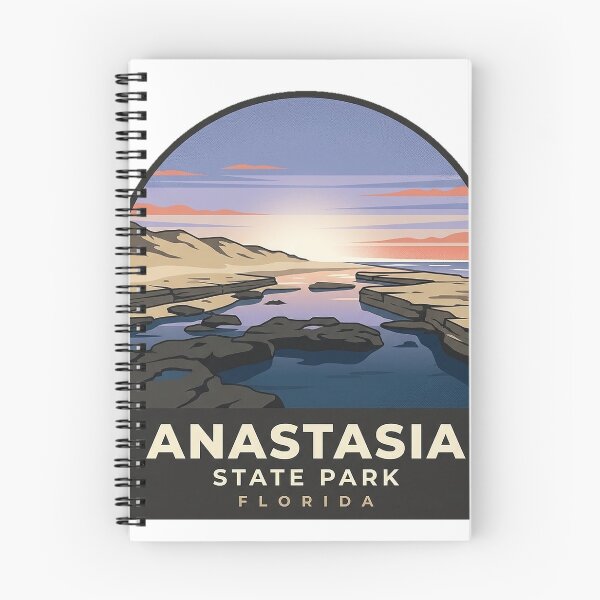 Item preview, Anastasia State Park Coquina Point Dawn Sticker designed and sold by DetourDgn.