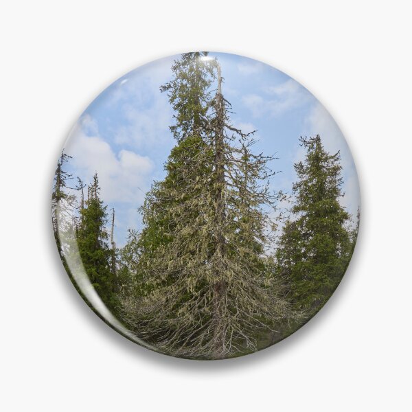 Item preview, Old forest of Valtavaara designed and sold by Jouko Lehto Photography.