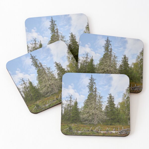 Item preview, Old forest of Valtavaara designed and sold by Jouko Lehto Photography.