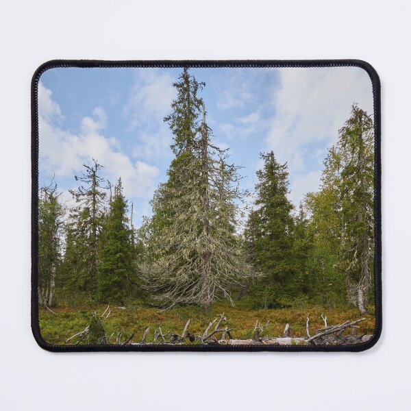 Item preview, Old forest of Valtavaara designed and sold by Jouko Lehto Photography.