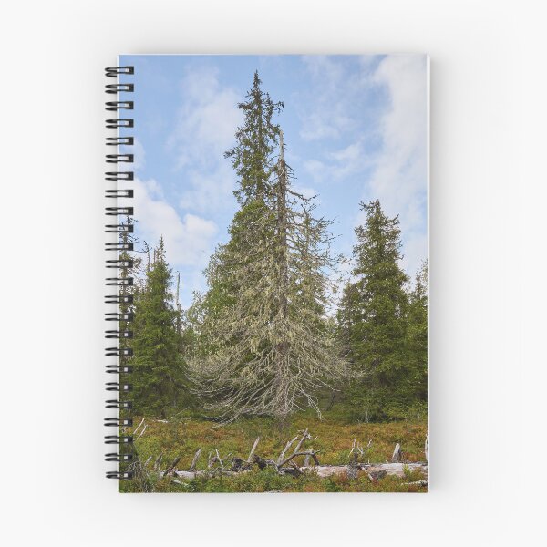 Item preview, Old forest of Valtavaara designed and sold by Jouko Lehto Photography.