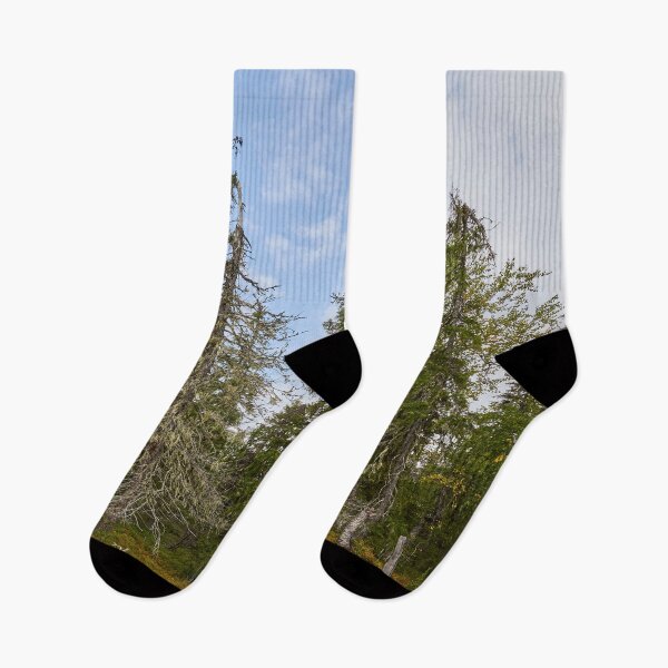 Item preview, Old forest of Valtavaara designed and sold by Jouko Lehto Photography.