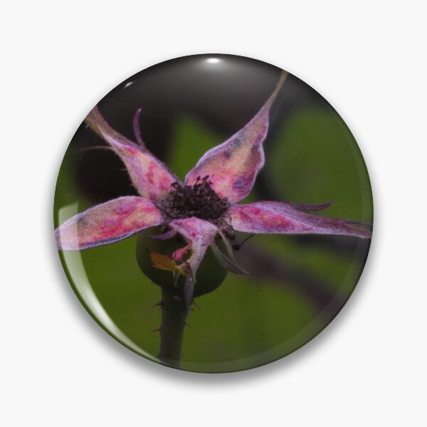Item preview, Memories of a Rose Bud designed and sold by Twisted Light Images.