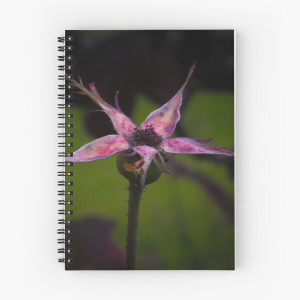 Item preview, Memories of a Rose Bud designed and sold by Twisted Light Images.
