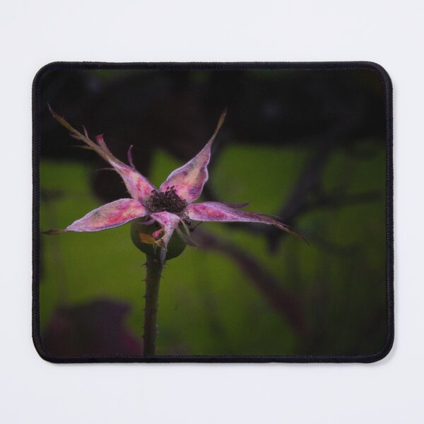 Item preview, Memories of a Rose Bud designed and sold by Twisted Light Images.