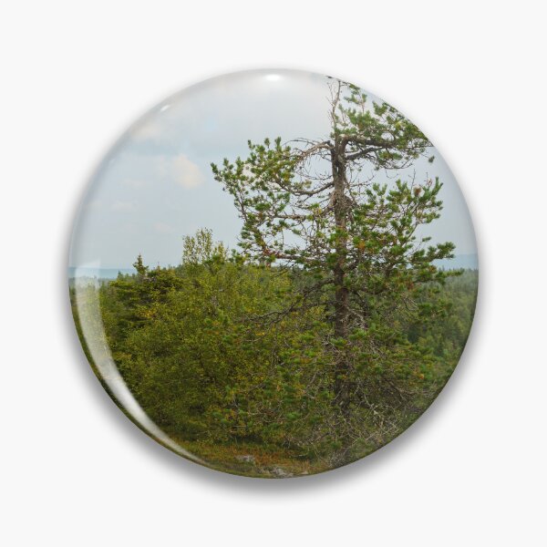 Item preview, The pine on the top. Valtavaara designed and sold by Jouko Lehto Photography.