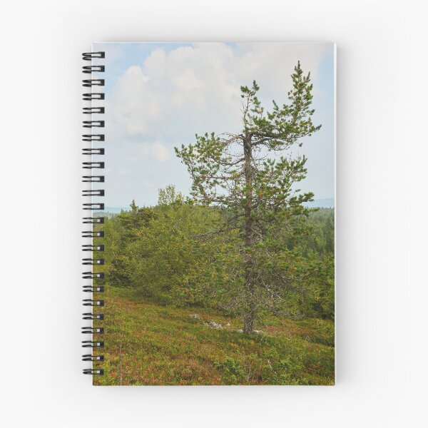 Item preview, The pine on the top. Valtavaara designed and sold by Jouko Lehto Photography.