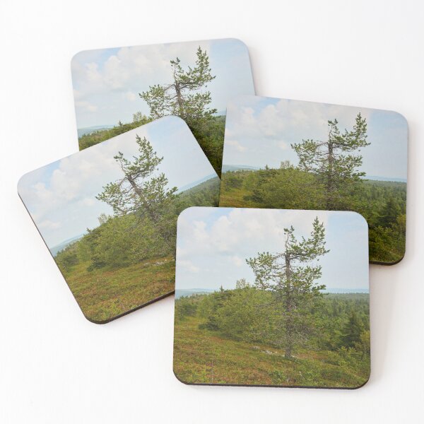 Item preview, The pine on the top. Valtavaara designed and sold by Jouko Lehto Photography.
