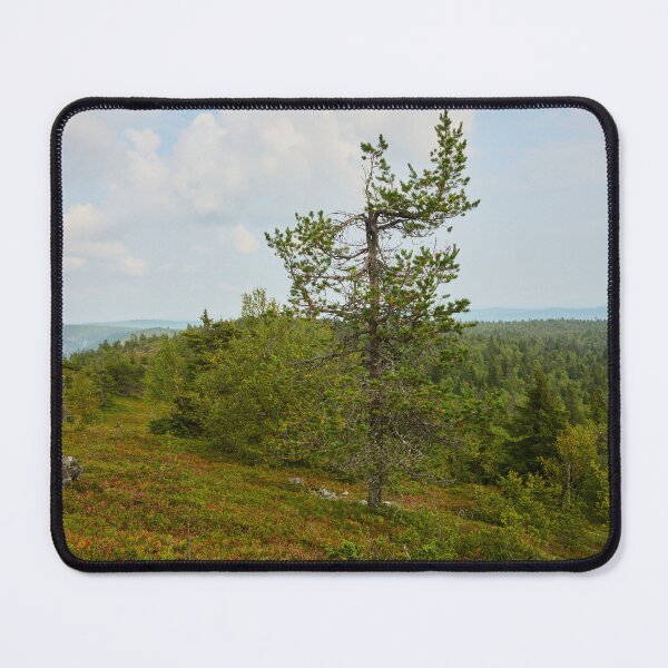 Item preview, The pine on the top. Valtavaara designed and sold by Jouko Lehto Photography.