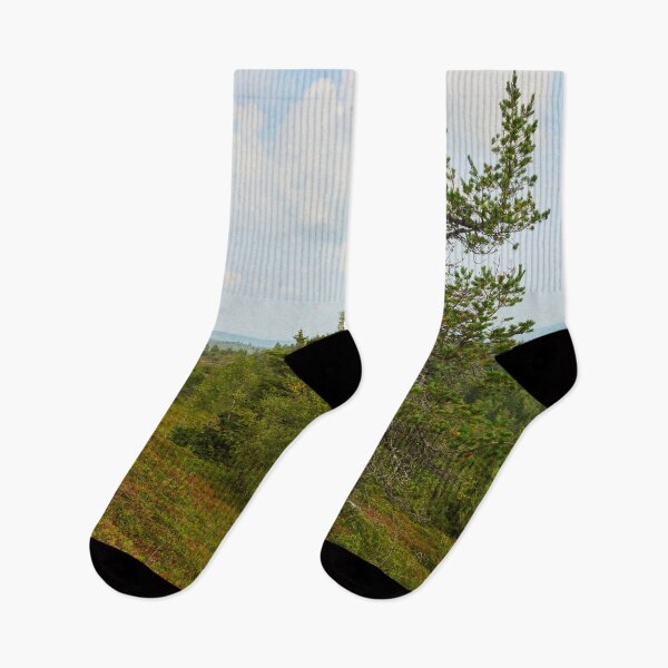 Item preview, The pine on the top. Valtavaara designed and sold by Jouko Lehto Photography.