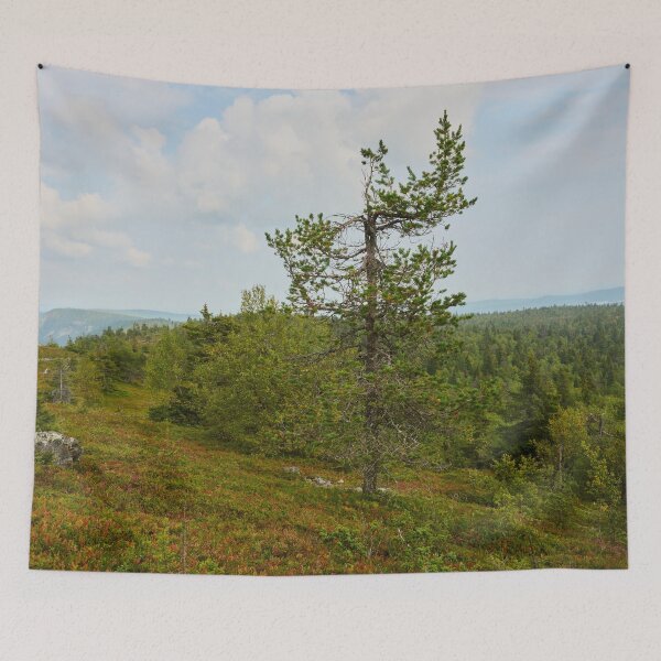 Item preview, El pino en la cima. Valtavaara designed and sold by Jouko Lehto Photography.