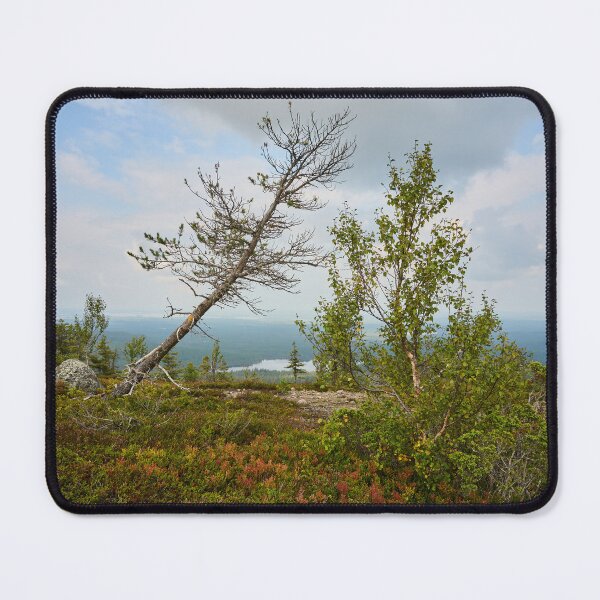 Item preview, Life is hard up there. Valtavaara designed and sold by Jouko Lehto Photography.