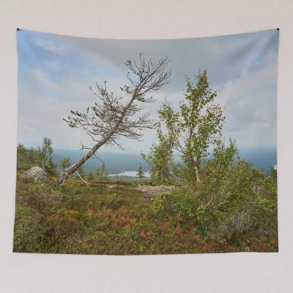 Item preview, La vida es dura allí arriba. Valtavaara designed and sold by Jouko Lehto Photography.