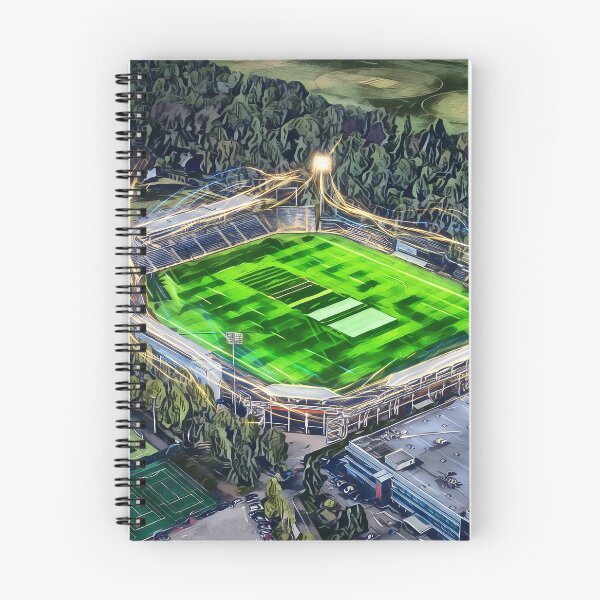 Item preview, Sophia Gardens Cricket Ground, Cardiff designed and sold by ArtworkNorth.