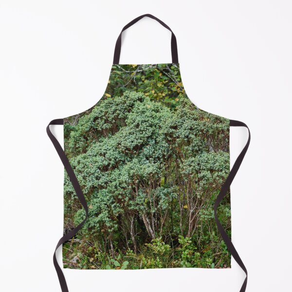 Item preview, Northern juniper. Valtavaara designed and sold by Jouko Lehto Photography.