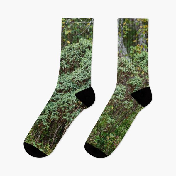 Item preview, Northern juniper. Valtavaara designed and sold by Jouko Lehto Photography.