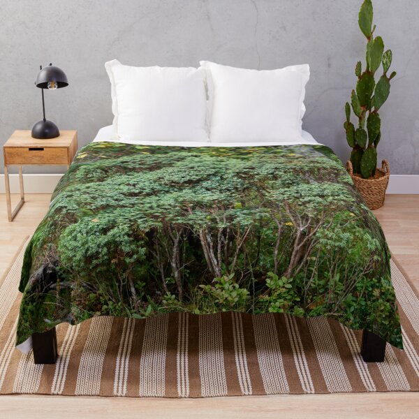 Item preview, Northern juniper. Valtavaara designed and sold by Jouko Lehto Photography.