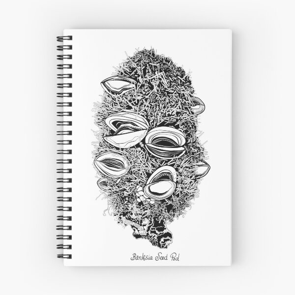 Item preview, Banksia Seed Pod drawing  designed and sold by Anli Vuong.