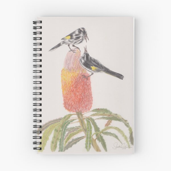 Item preview, Pájaros sobre una flor de banksia, dibujo a lápiz de color. designed and sold by SandraAnimalArt.