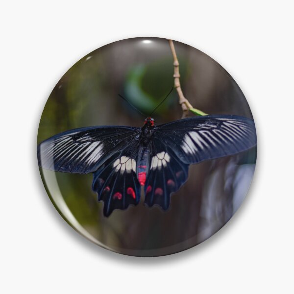Item preview, Midnight Rose Butterfly  designed and sold by Twisted Light Images.