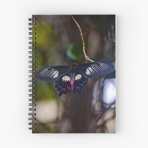 Item preview, Midnight Rose Butterfly  designed and sold by Twisted Light Images.