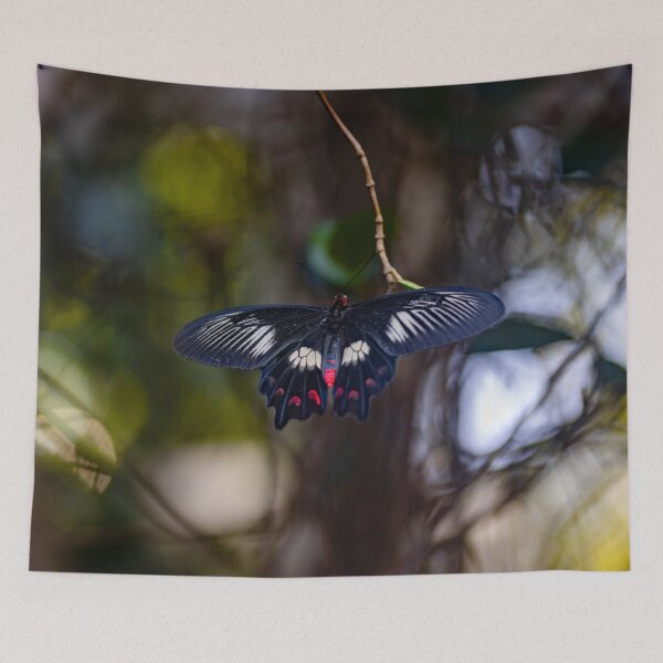 Artikelvorschau, Mitternachtsrosen-Schmetterling entworfen und verkauft von Twisted Light Images.