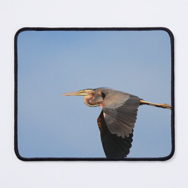 Item preview, Perfect purple heron designed and sold by miradorpictures.