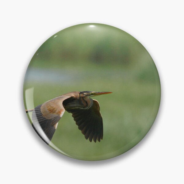 Item preview, Terrific purple heron designed and sold by miradorpictures.