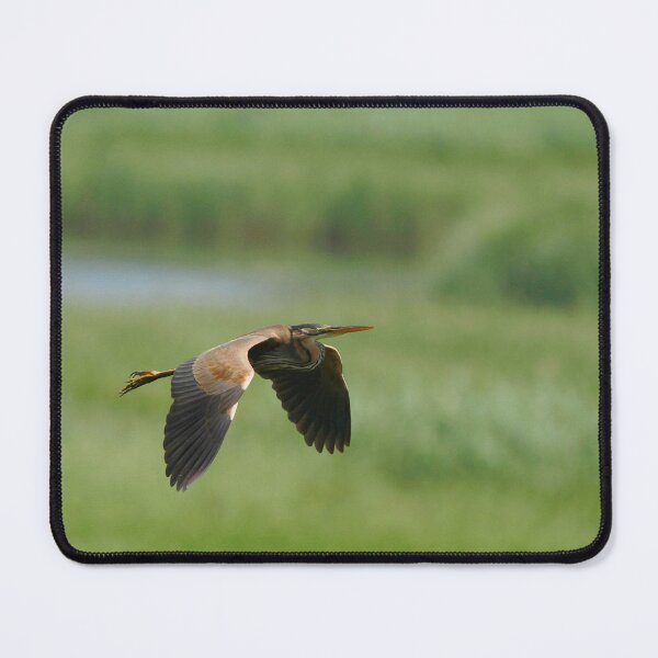 Item preview, Terrific purple heron designed and sold by miradorpictures.