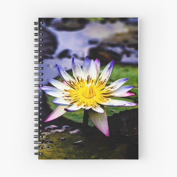 Item preview, Blue tipped Water Lily in Full Bloom designed and sold by Twisted Light Images.