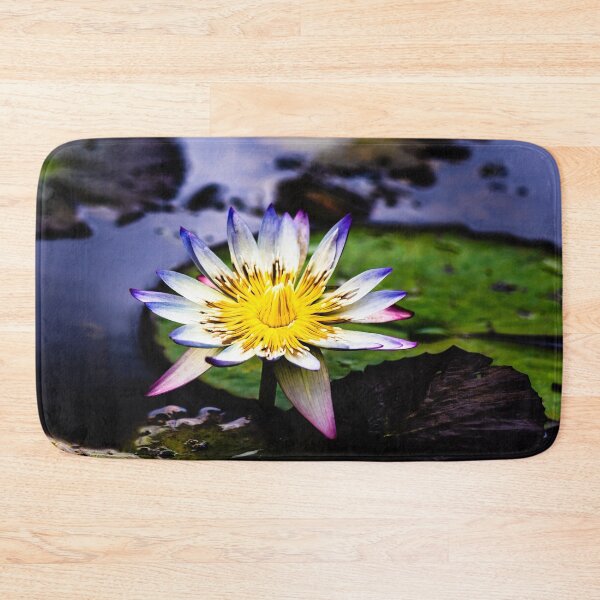 Item preview, Blue tipped Water Lily in Full Bloom designed and sold by Twisted Light Images.