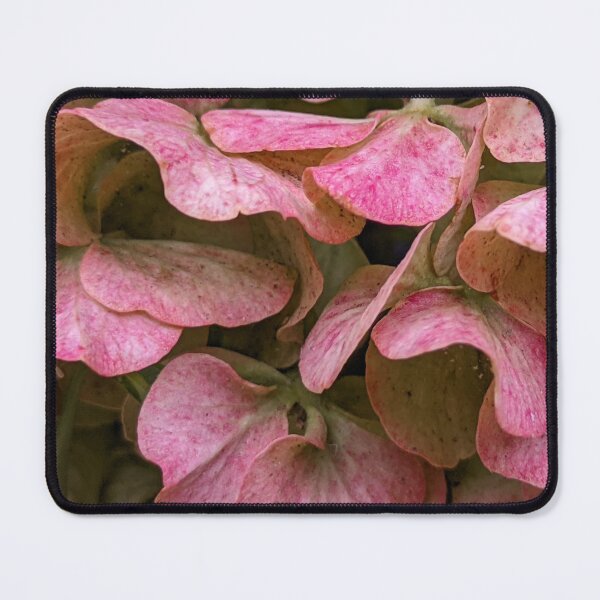 Item preview, Ruffled Hydrangea Petals, Macro Botanical Photography designed and sold by PrettyAround.