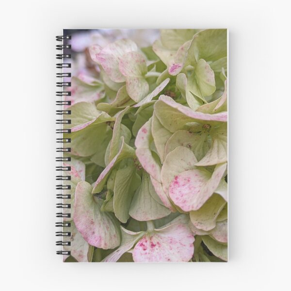 Item preview, Green and Pink Hydrangea Blooms, Late Season Botanical Photography designed and sold by PrettyAround.