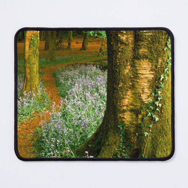 Item preview, Bluebells in Wenallt Woodland designed and sold by VnGphoto.