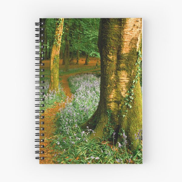 Item preview, Bluebells in Wenallt Woodland designed and sold by VnGphoto.