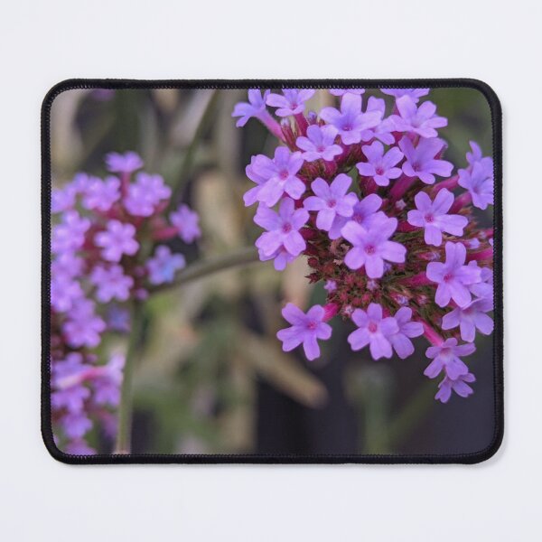 Item preview, Verbena Bonariensis Purple Blooms, Layered Macro Garden Photography designed and sold by PrettyAround.